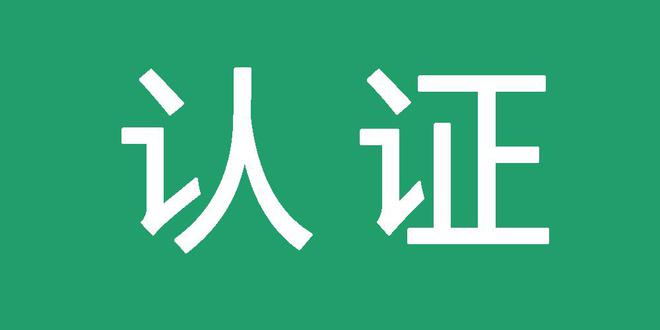 蜘蛛池搜索引擎霸屏技术引爆流量